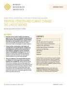 Tropical forests and climate change: the latest science
